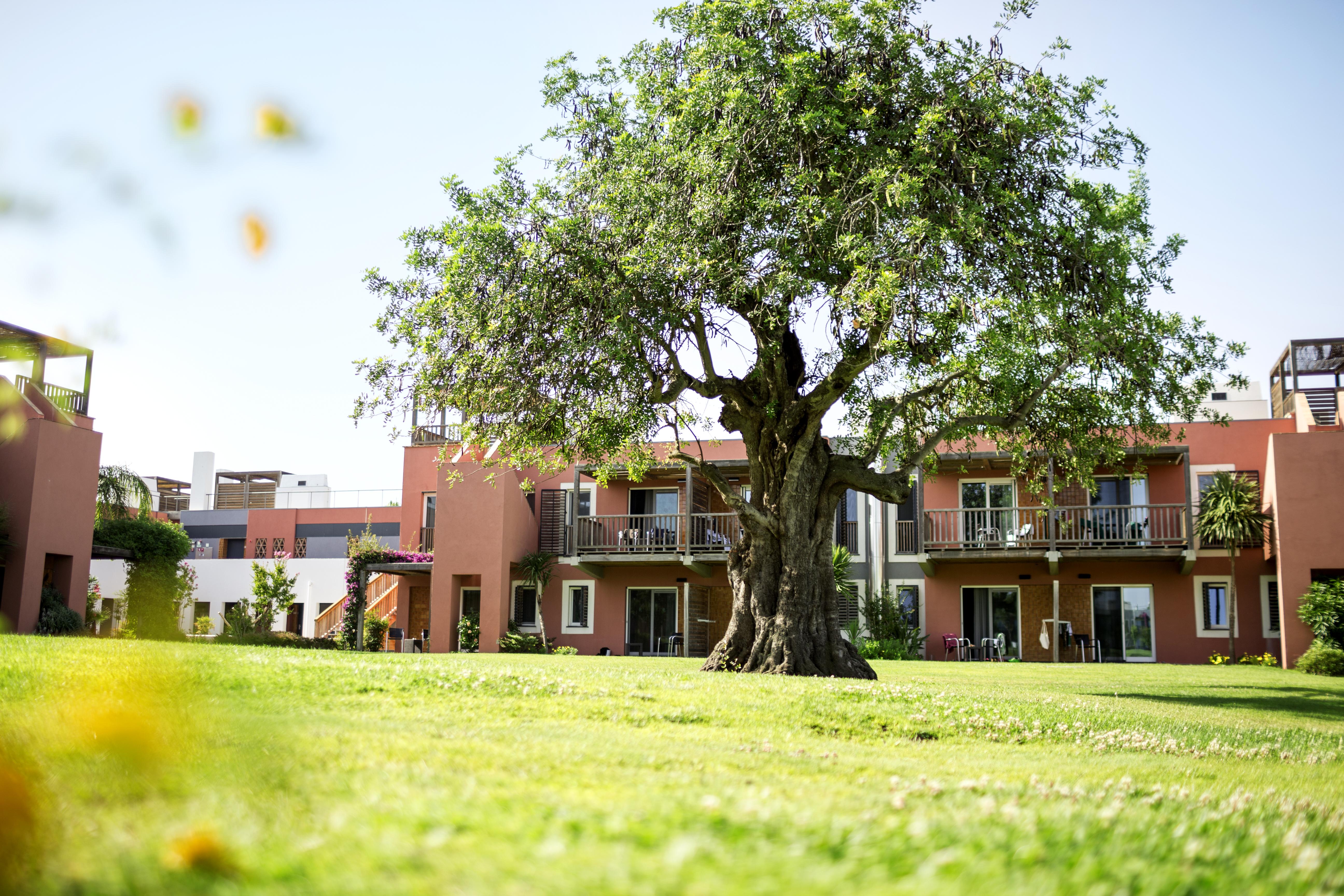 Robinson Quinta Da Ria Hotel Vila Nova de Cacela Exterior foto